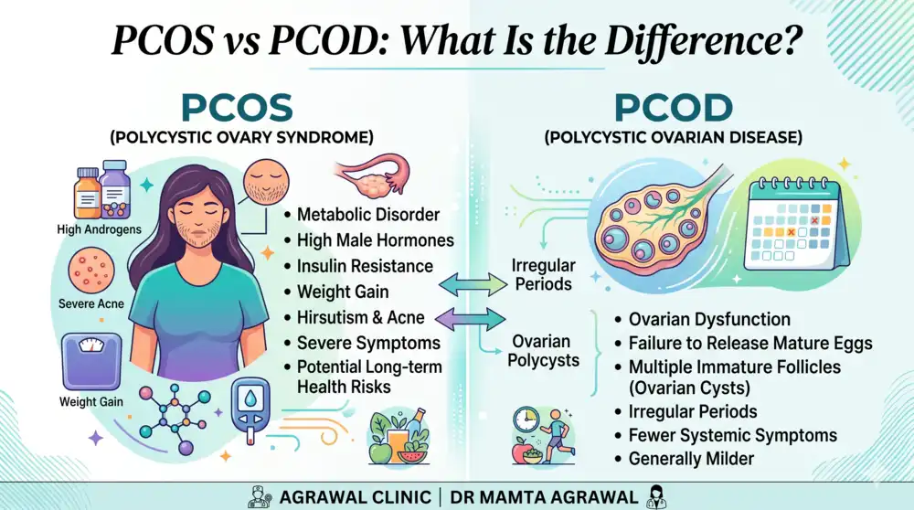 Infographic explaining PCOS vs PCOD differences, including symptoms like insulin resistance and ovarian cysts, by Dr. Mamta Agrawal.