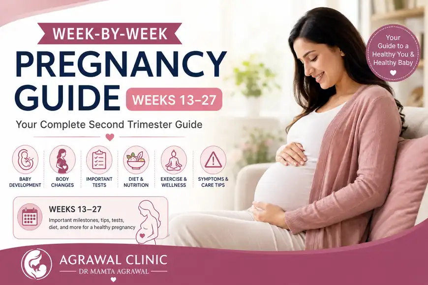 Week-by-week pregnancy guide for weeks 13 to 27 showing second trimester baby development and maternal changes.