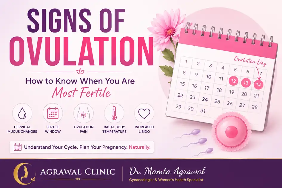 Signs of ovulation infographic showing fertile window, cervical mucus changes, ovulation pain, basal body temperature, and fertility symptoms in women.